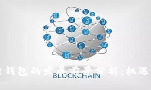 区块链钱包的发展前景分析：机遇与挑战