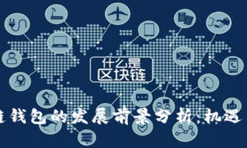 区块链钱包的发展前景分析：机遇与挑战