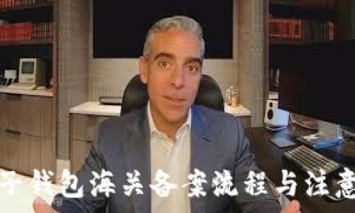   
虚拟币电子钱包海关备案流程与注意事项详解