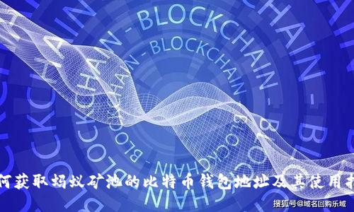 如何获取蚂蚁矿池的比特币钱包地址及其使用指南