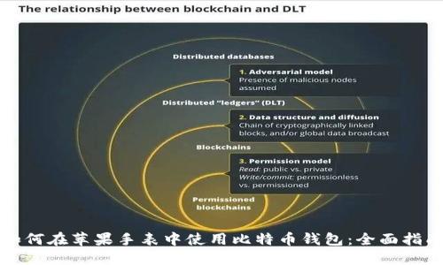如何在苹果手表中使用比特币钱包：全面指南