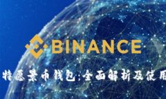 BV比特愿景币钱包：全面解