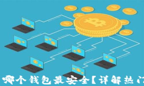
USDT使用哪个钱包最安全？详解热门钱包选项