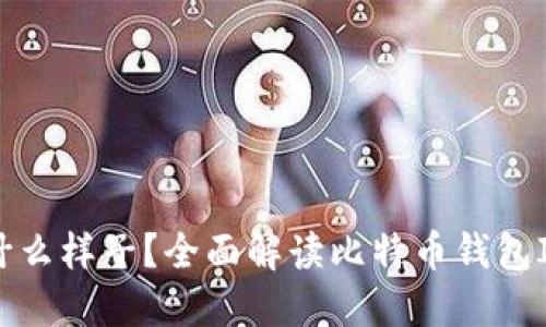 比特币钱包ID是什么样子？全面解读比特币钱包ID的结构与安全性