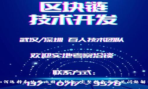 如何选择和使用比特币钱包：完整指南与常见问题解答