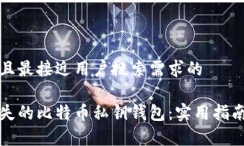 思考一个并且最接近用户搜索需求的

如何找回丢失的比特币私钥钱包：实用指南与注意事项