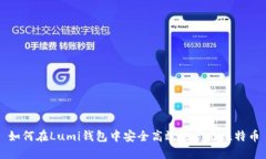如何在Lumi钱包中安全高效