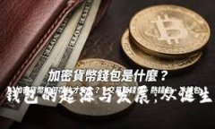 比特币钱包的起源与发展