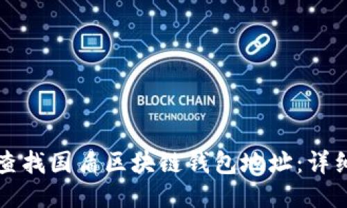 如何查找国盾区块链钱包地址：详细指南