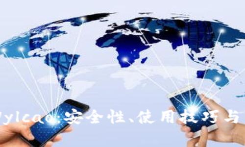 比特币钱包Wylcao：安全性、使用技巧与市场前景分析