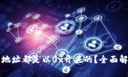 为什么区块链钱包地址都是以0x开头的？全面解析区块链地址结构
