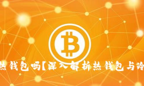 imToken是热钱包吗？深入解析热钱包与冷钱包的区别