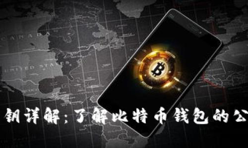 比特币钱包的公钥详解：了解比特币钱包的公钥和私钥的关系