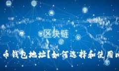 什么是比特币钱包地址？