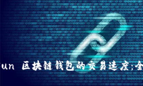 如何提升 GoFun 区块链钱包的交易速度：全面解析与建议