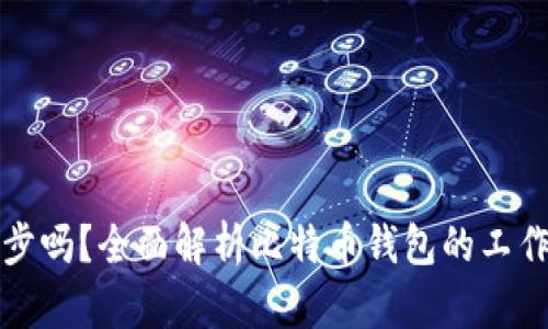 比特币钱包必需同步吗？全面解析比特币钱包的工作原理与同步重要性