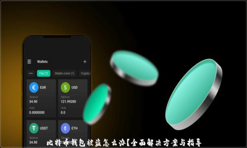 
比特币钱包被盗怎么办？全面解决方案与指导