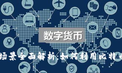 比特币钱包的应用场景全面解析：如何利用比特币钱包进行安全交易