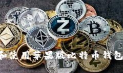 如何下载和使用苹果版比