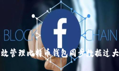 如何有效管理比特币钱包同步数据过大的问题