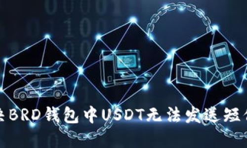 如何解决BRD钱包中USDT无法发送短信的问题