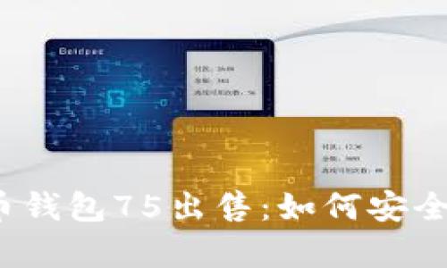  全面解析比特币钱包75出售：如何安全交易与投资策略