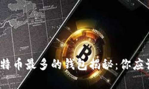 2023年比特币最多的钱包揭秘：你应该知道的事