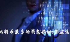 2023年比特币最多的钱包揭