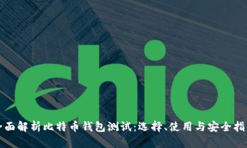 全面解析比特币钱包测试：选择、使用与安全指南