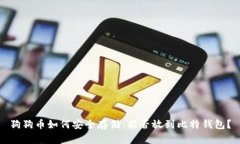 狗狗币如何安全存储：能