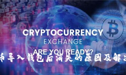 虚拟币导入钱包后消失的原因及解决方案
