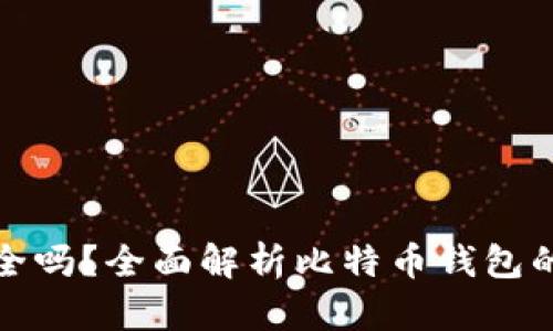 比特币钱包安全吗？全面解析比特币钱包的安全性与风险