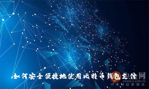 如何安全便捷地使用比特币钱包支付