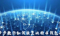 一步步教你如何恢复比特