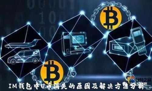 
IM钱包中U币消失的原因及解决方法分析