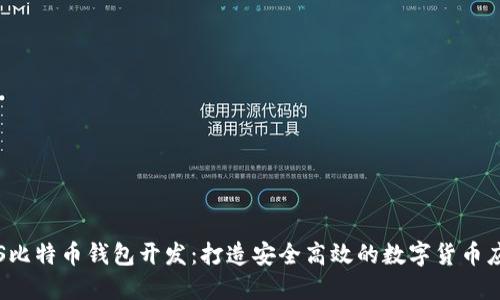 iOS比特币钱包开发：打造安全高效的数字货币应用