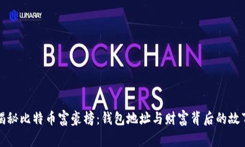 揭秘比特币富豪榜：钱包地址与财富背后的故事