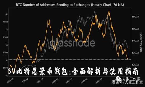 BV比特愿景币钱包：全面解析与使用指南