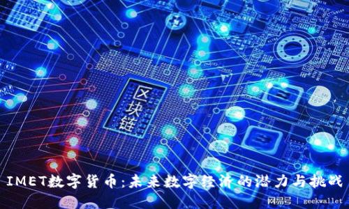 IMET数字货币：未来数字经济的潜力与挑战