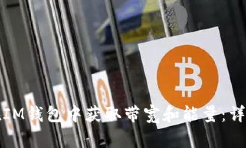 如何在IM钱包中获取带宽和能量：详细指南