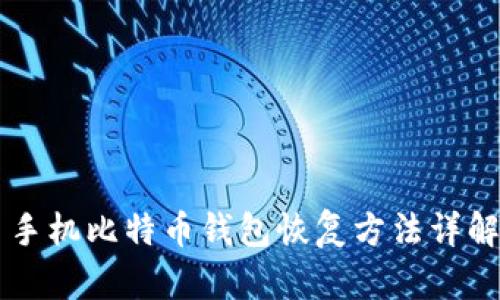 手机比特币钱包恢复方法详解