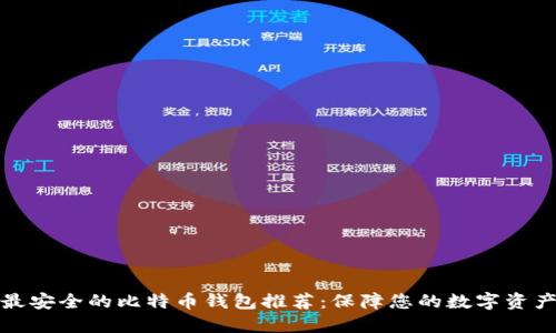 全球最安全的比特币钱包推荐：保障您的数字资产安全