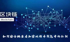 如何安全地查看加密比特币钱包中的私钥