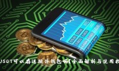 : USDT可以存进硬件钱包吗？全面解析与使用指南